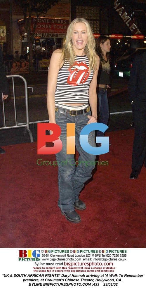 Daryl Hannah at 'A Walk To Remember' premiere