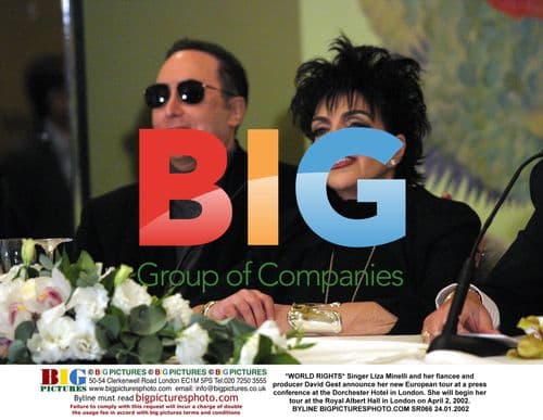 Liza Minelli Announces European Tour