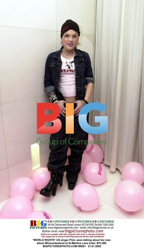 US singer Pink talks about new album