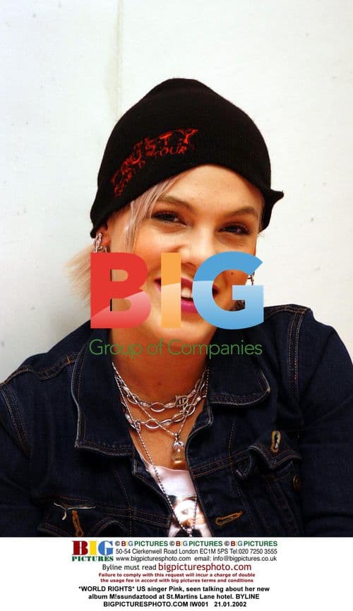 US Singer Pink Discussing New Album