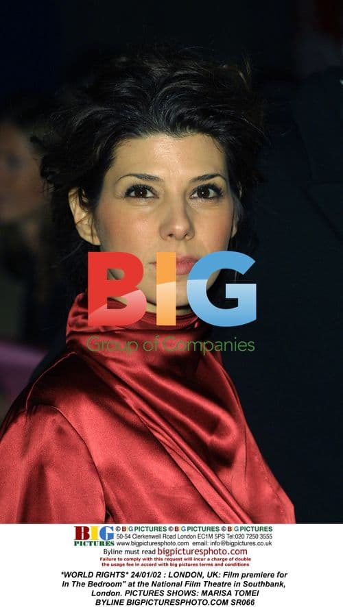 Marisa Tomei at "In The Bedroom" Premiere