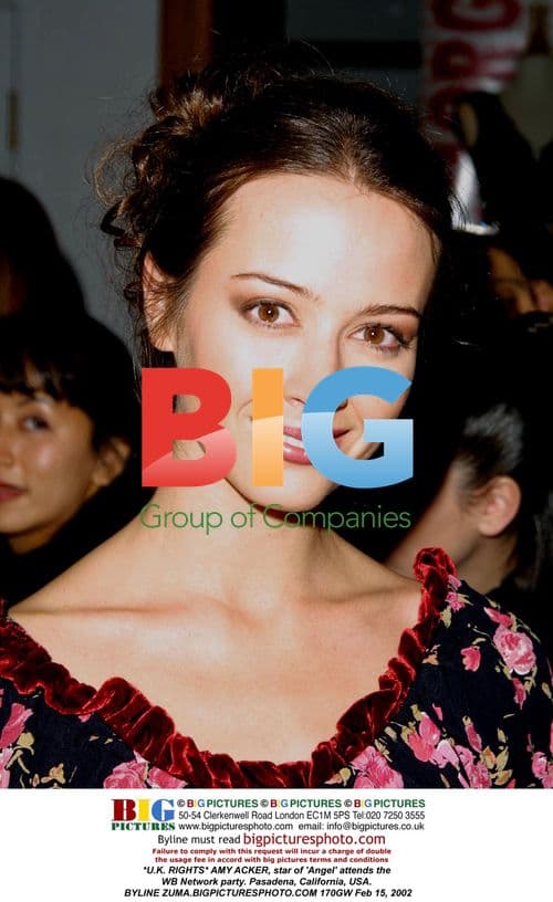 Amy Acker attends WB Network party in Pasadena