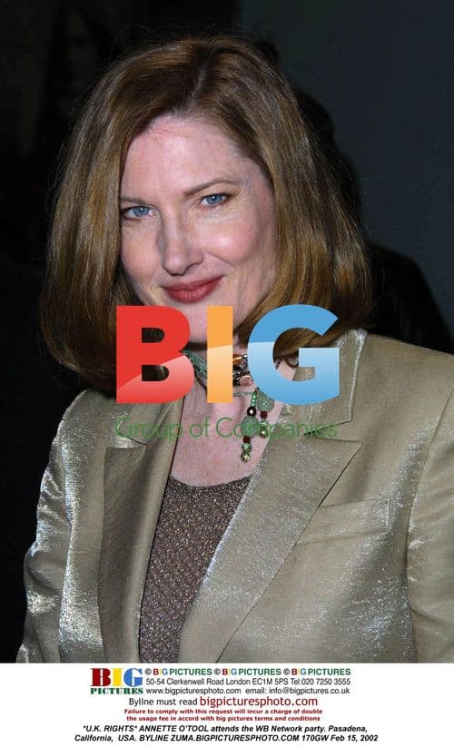 ANNETTE O'TOOL at WB Network party