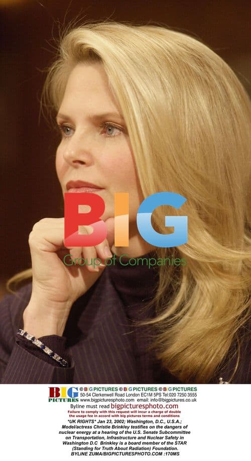 Christie Brinkley testifies on nuclear energy
