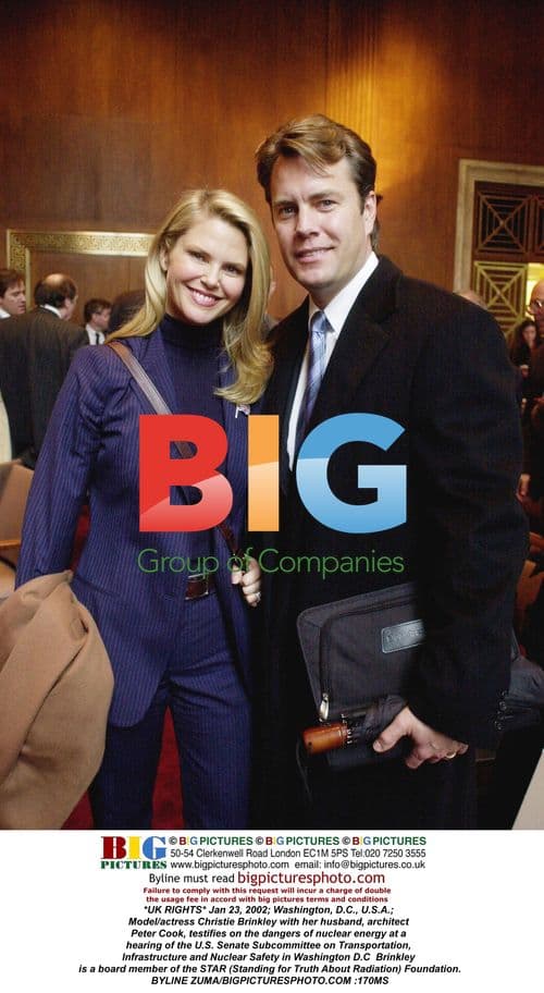 Christie Brinkley testifies on nuclear energy
