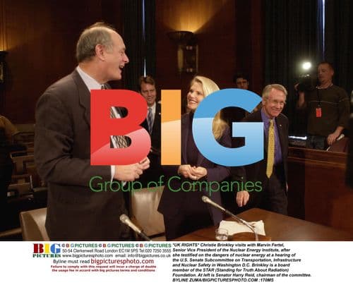 Christie Brinkley Testifies on Nuclear Energy