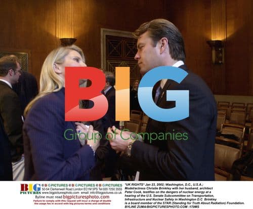 Christie Brinkley testifies on nuclear energy