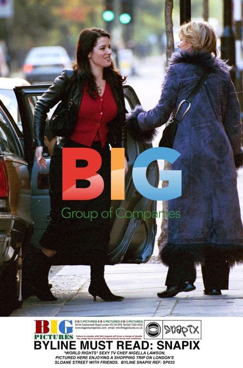 Nigella Lawson Spotted Shopping in London