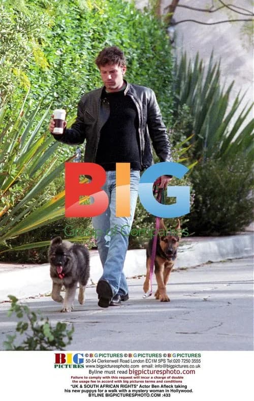 Ben Affleck walks new puppy with mystery woman