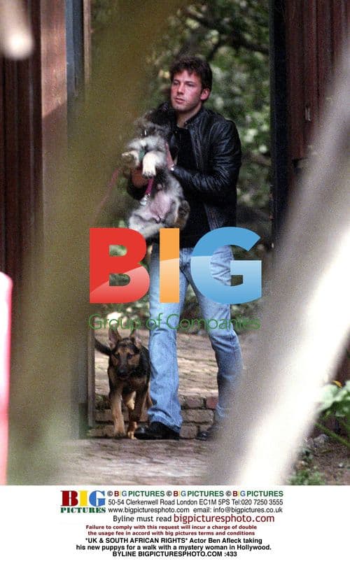 Ben Affleck walks dogs with mystery woman