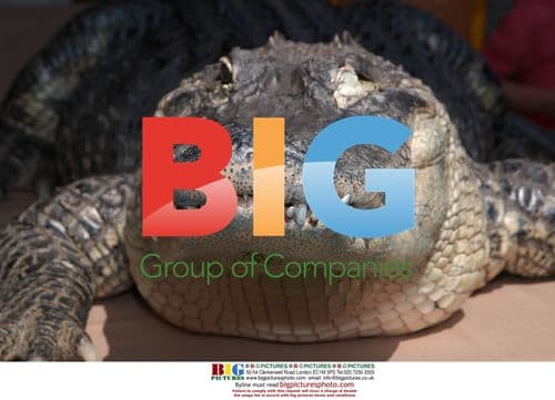 Crocodile Hunter: Collision Course Premiere