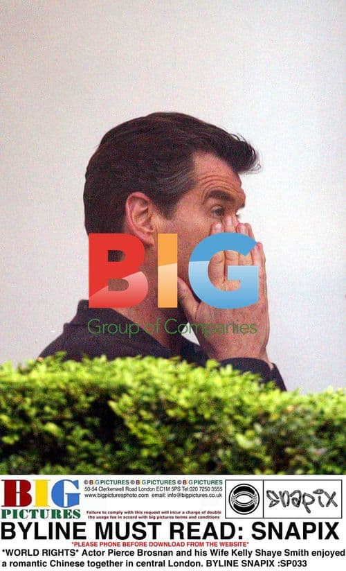 Pierce Brosnan and Wife Kelly Shaye Smith Dine in London