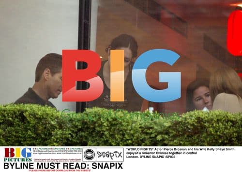 Pierce Brosnan and Wife Kelly Enjoy London Dinner