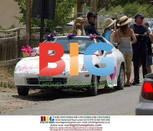 Julia Roberts and Danny Moder's Wedding