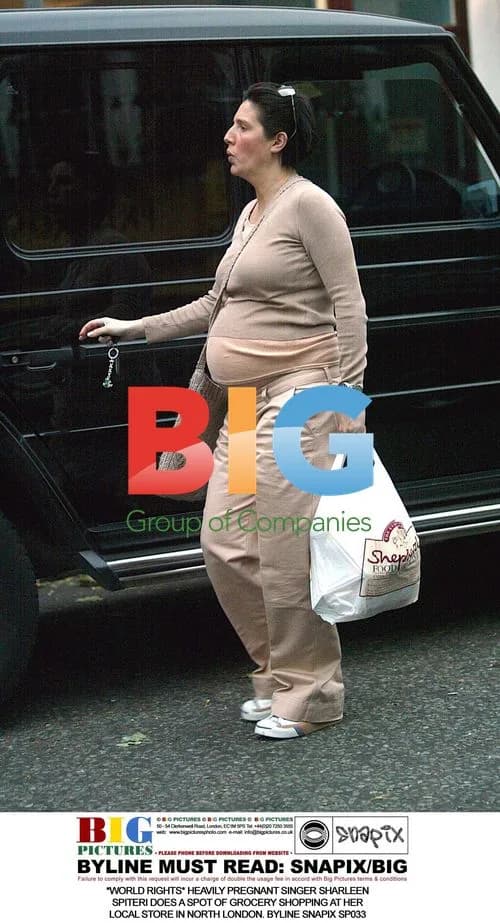 Heavily Pregnant Singer Sharleen Spiteri Grocery Shopping