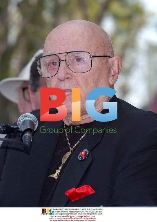 Actress Annabelle Wallis at the Golden Globe Awards