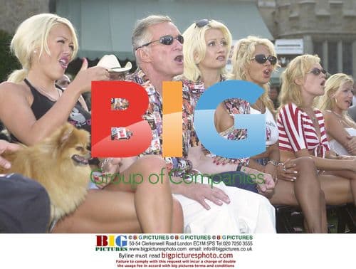 Celebrities Pose at Hollywood Premiere