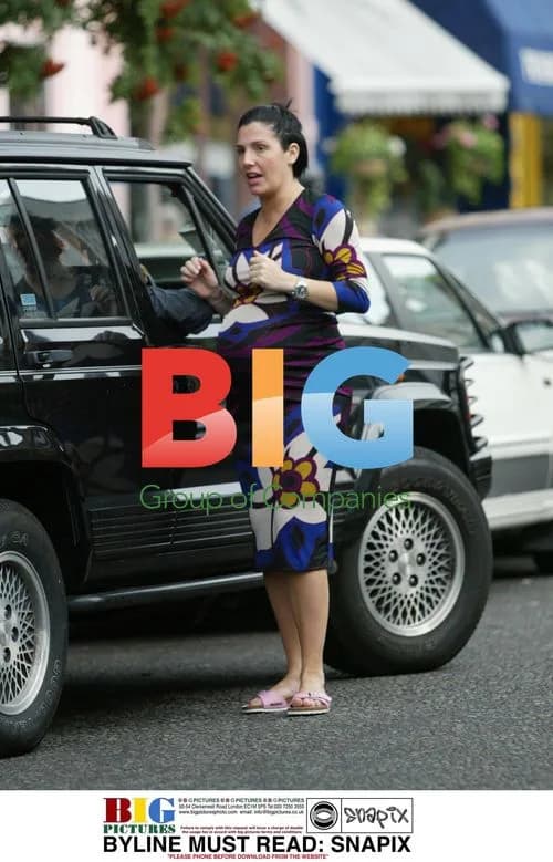 Pregnant Sharleen Spiteri Out in West London