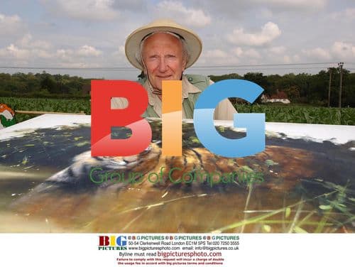 Painter David Sheperd at New Tiger Maze