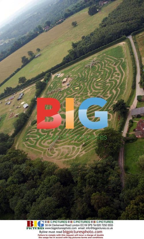 Aerial View of New Tiger Maize at Tully's Farm
