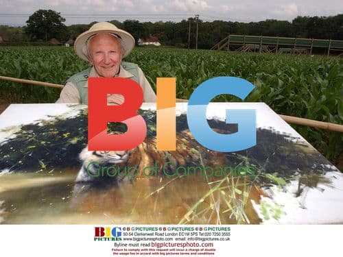 Wildlife Painter David Sheperd at Tiger Maze