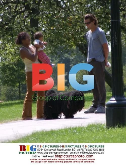 Gwen Stefani and Gavin Rossdale Walk Dog