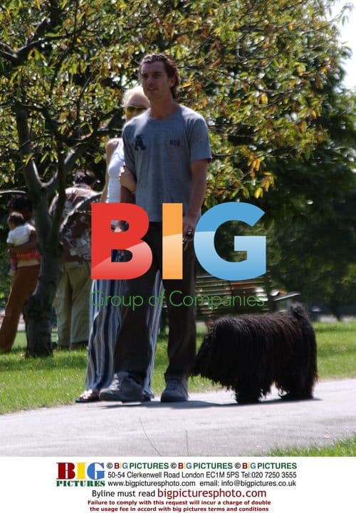 Rossdale and Stefani Walk Dog in London Park