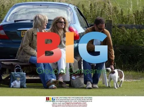 Jemima Kahn and friends at charity cricket match