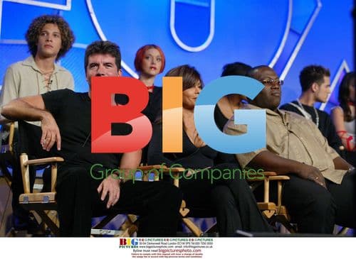 American Idol Judges at 2002 TCA Tour