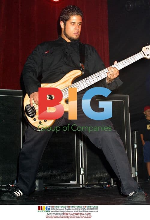 Papa Roach Concert in New Jersey