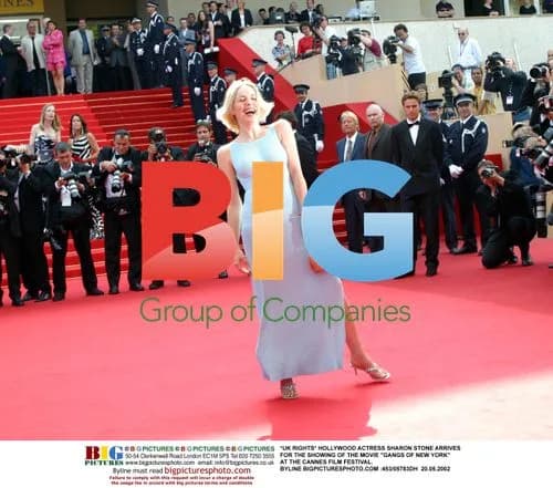 Sharon Stone at Cannes Film Festival