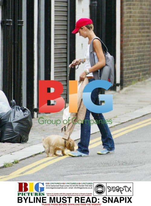 Lady Victoria Hervey Avoids Clean Up