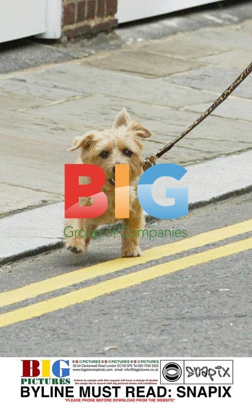 LADY VICTORIA HERVEY FAILS TO CLEAN UP DOG'S MESS