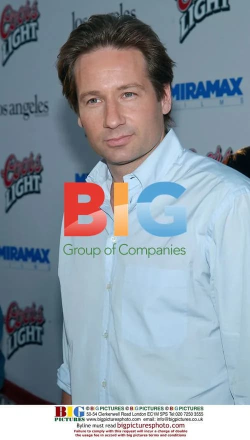 David Duchovny at "Full Frontal" premiere