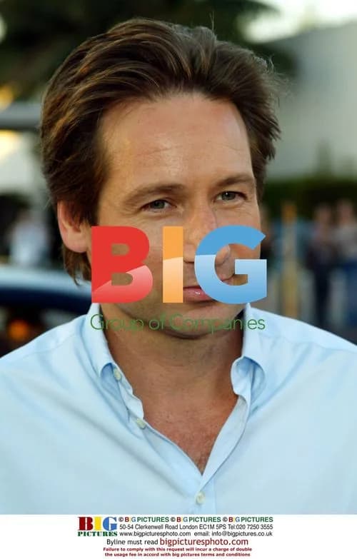 David Duchovny at 'Full Frontal' Premiere