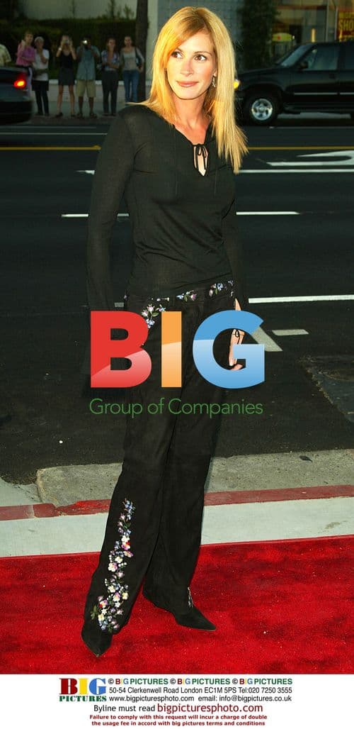 Julia Roberts at 'Full Frontal' premiere