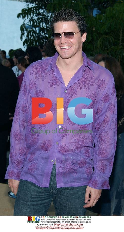 David Boreanaz at Austin Powers premiere