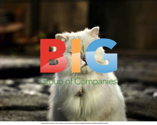 STUART LITTLE 2 - Snowbell voiced by Nathan Lane