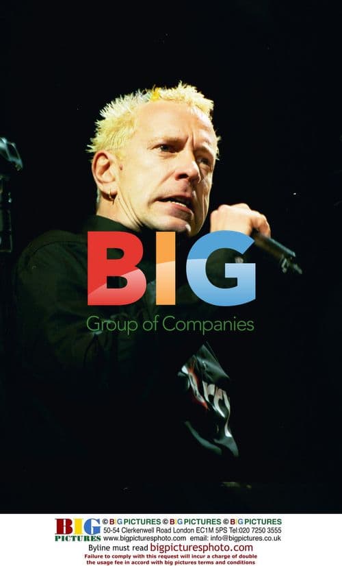 The Sex Pistols Perform at Crystal Palace