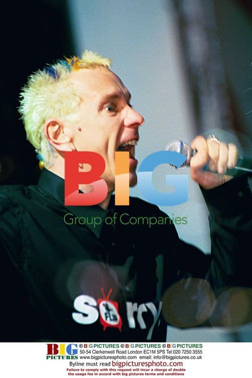 The Sex Pistols Perform at Crystal Palace