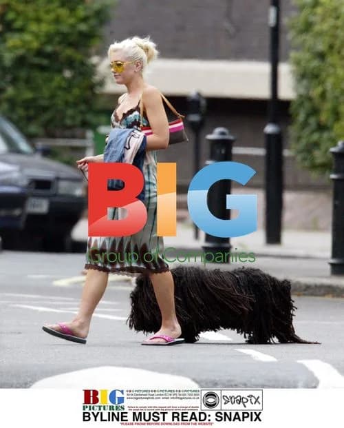 Gwen Stefani and Gavin Rossdale out in London