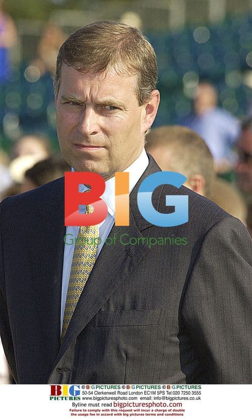 Prince Andrew at Cartier Polo Day in Windsor