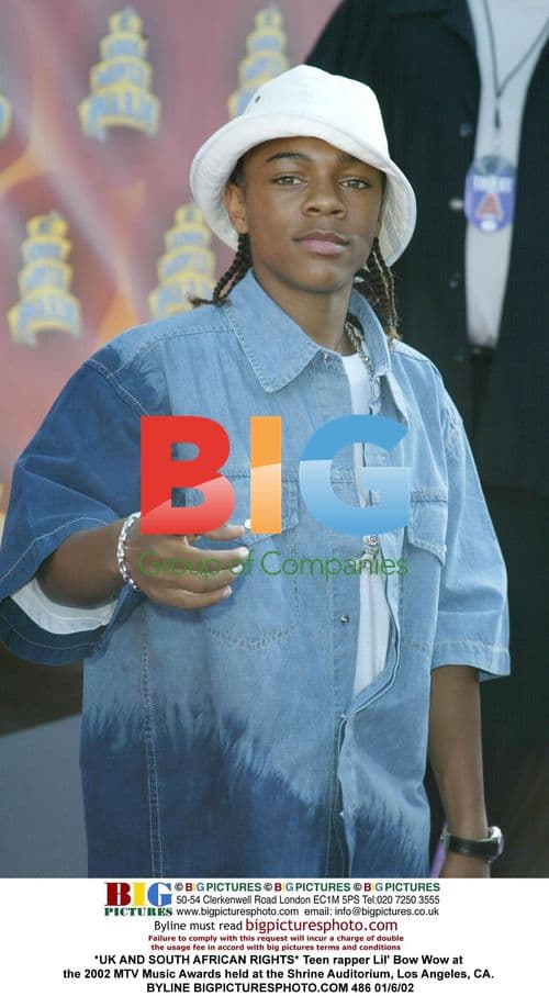 Lil' Bow Wow at 2002 MTV Music Awards