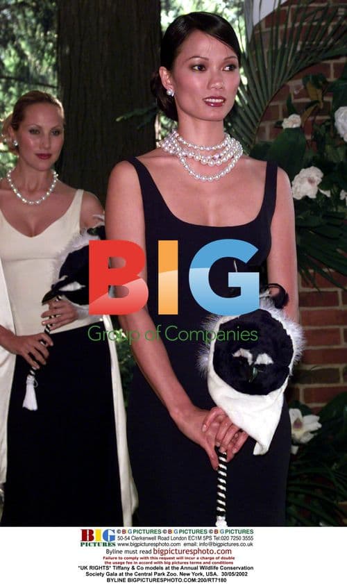 Tiffany & Co models at WCS Gala