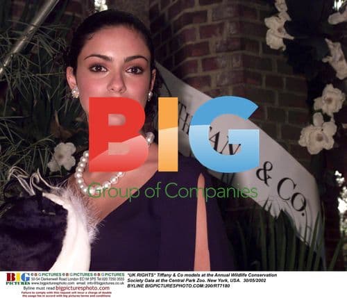 Tiffany & Co models at Wildlife Conservation Gala