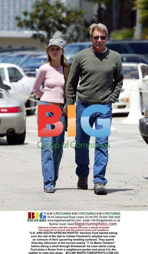 Harrison Ford & Calista Flockhart's Family Outing