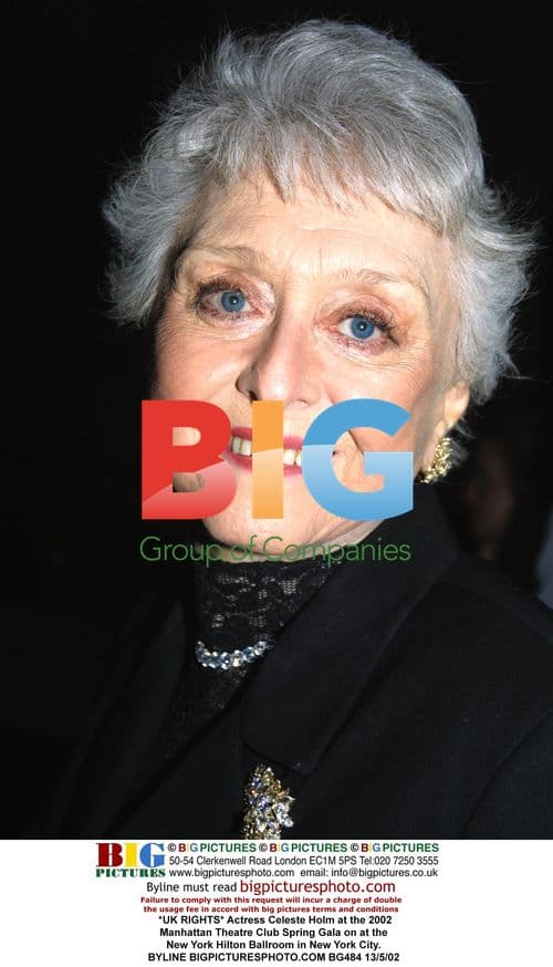 Celeste Holm at 2002 Manhattan Theatre Club Spring Gala