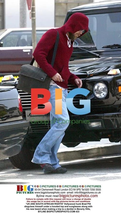 Brad Pitt disguises himself for dentist trip