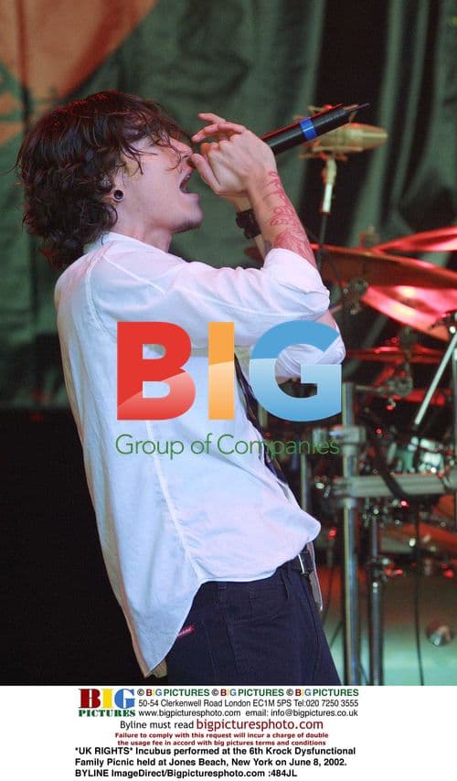 Incubus at Krock Family Picnic