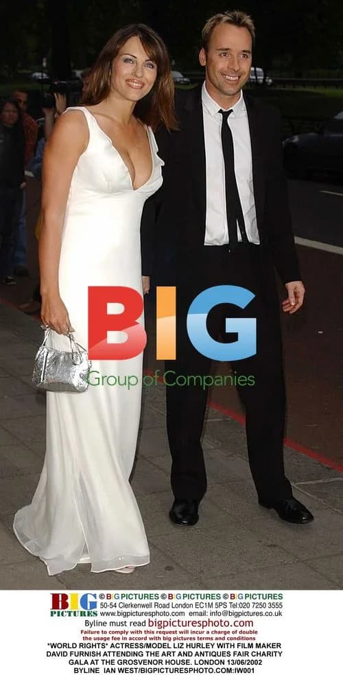 Liz Hurley and David Furnish at Art Fair Gala